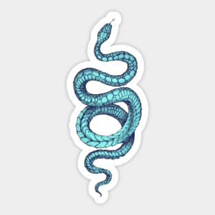 blue snake Sticker